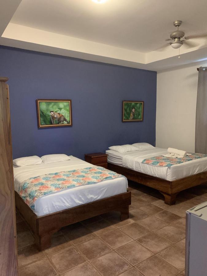Habitación Monkey