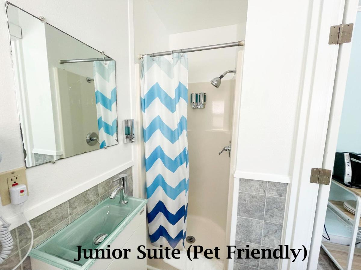 Junior Suite pet friendly,1147505038:JPEG