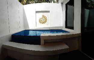 Villa con piscina de inmersión