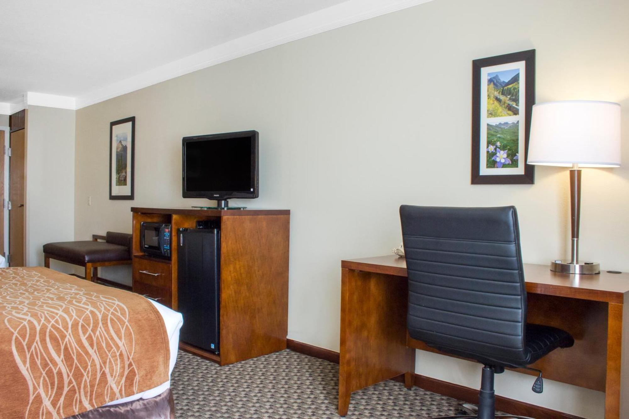 King Room with Roll-In Shower - Accessible/Non-Smoking
