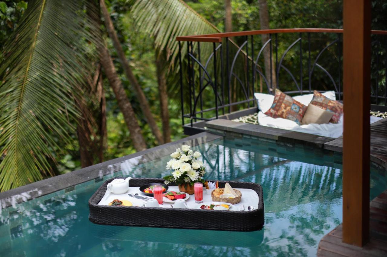 Villa 1 Chambre avec Piscine et Hamac
