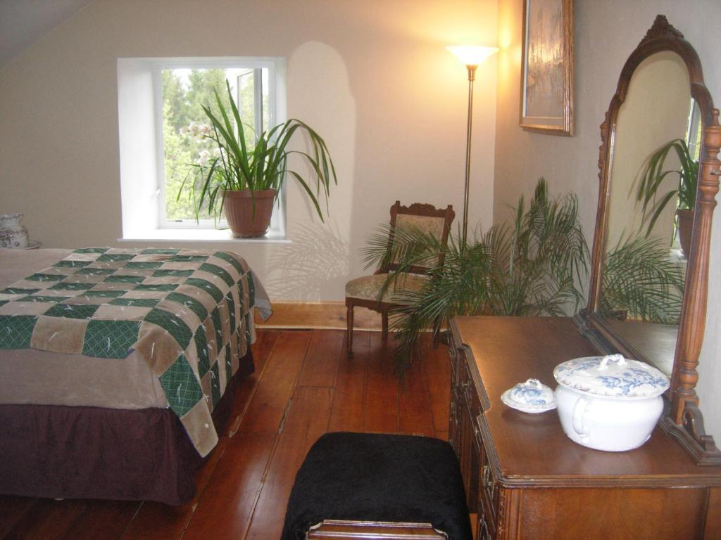Queen Room with Garden View