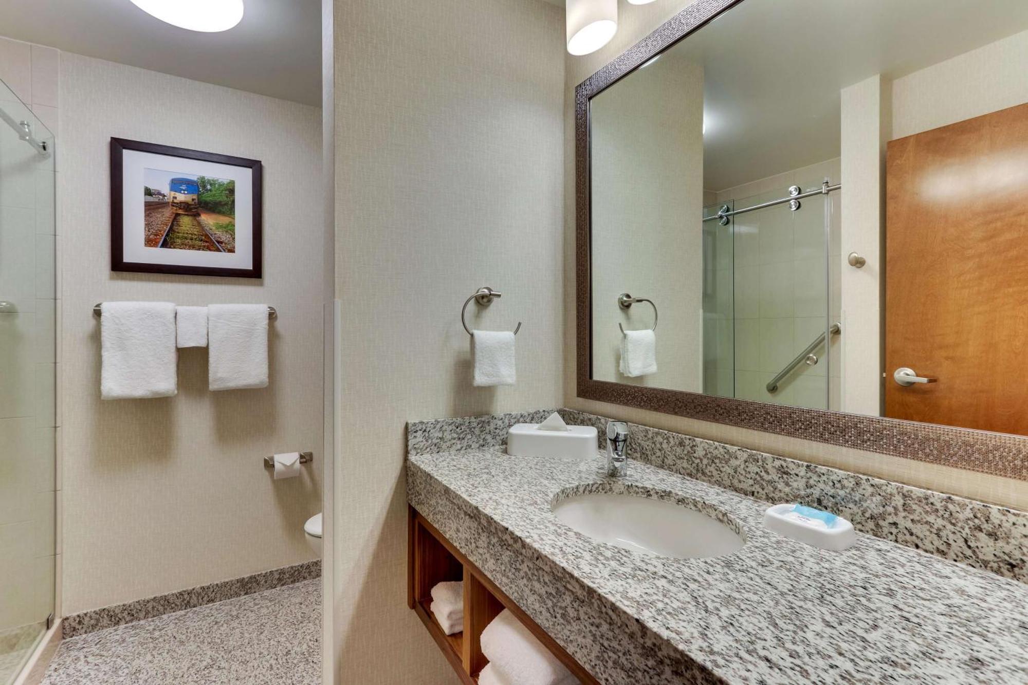 Deluxe King Suite