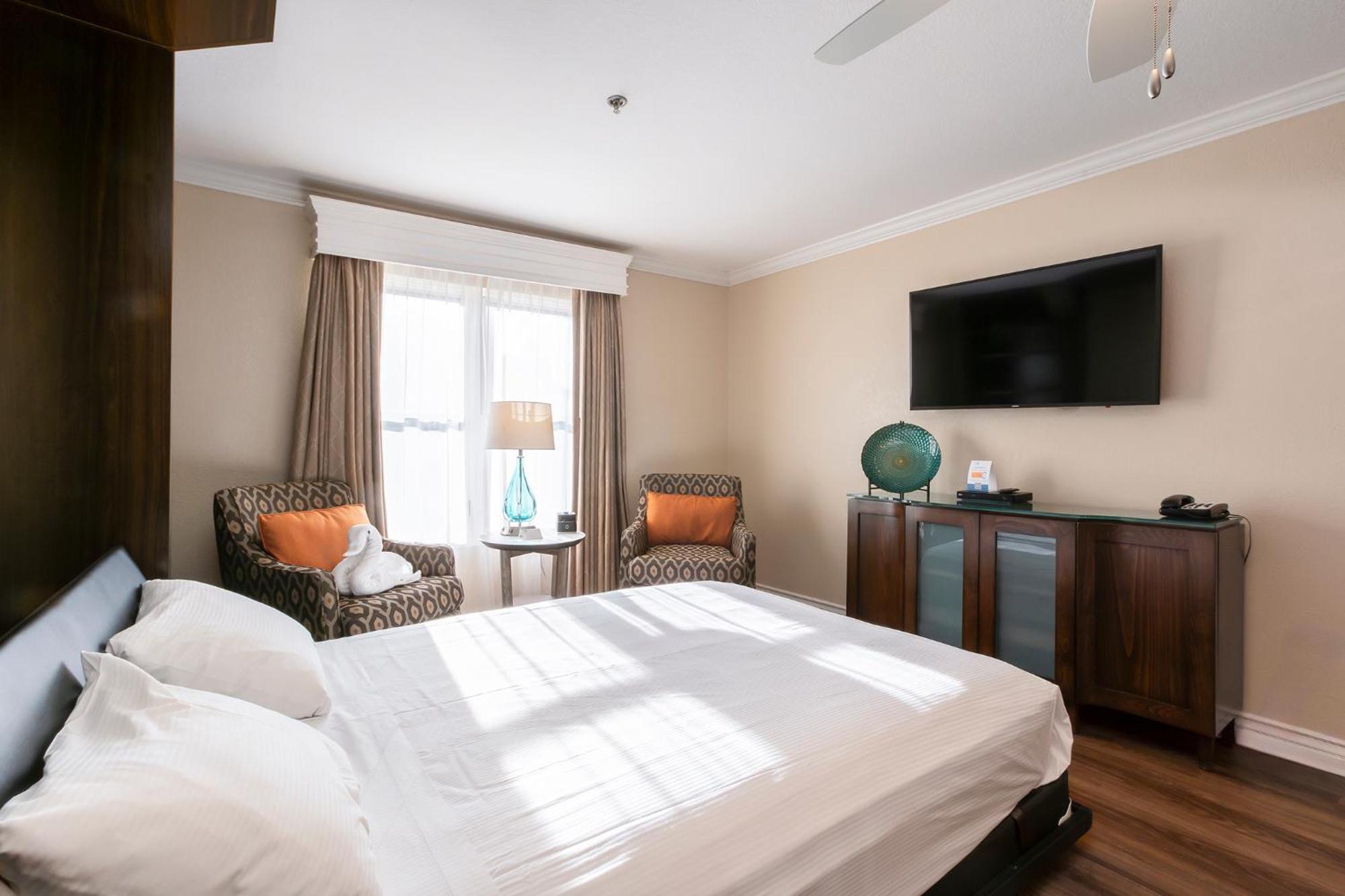 Studio Suite,1644412320:JPEG