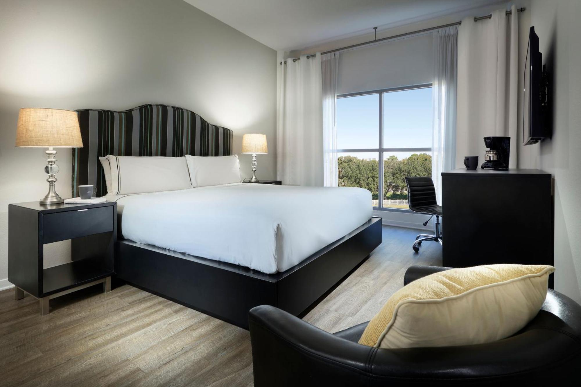 Suite com 1 Quarto e Cama King-size