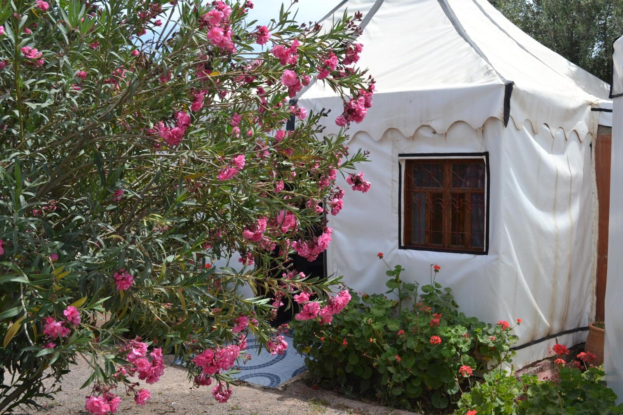 Superior Nomade Tent