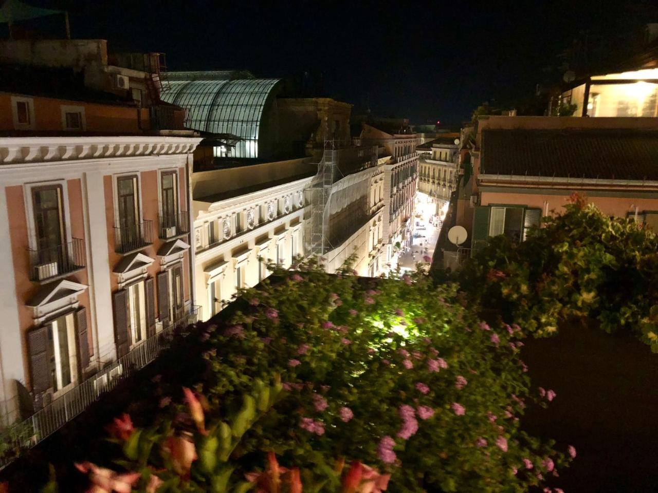 Apartment Terrace