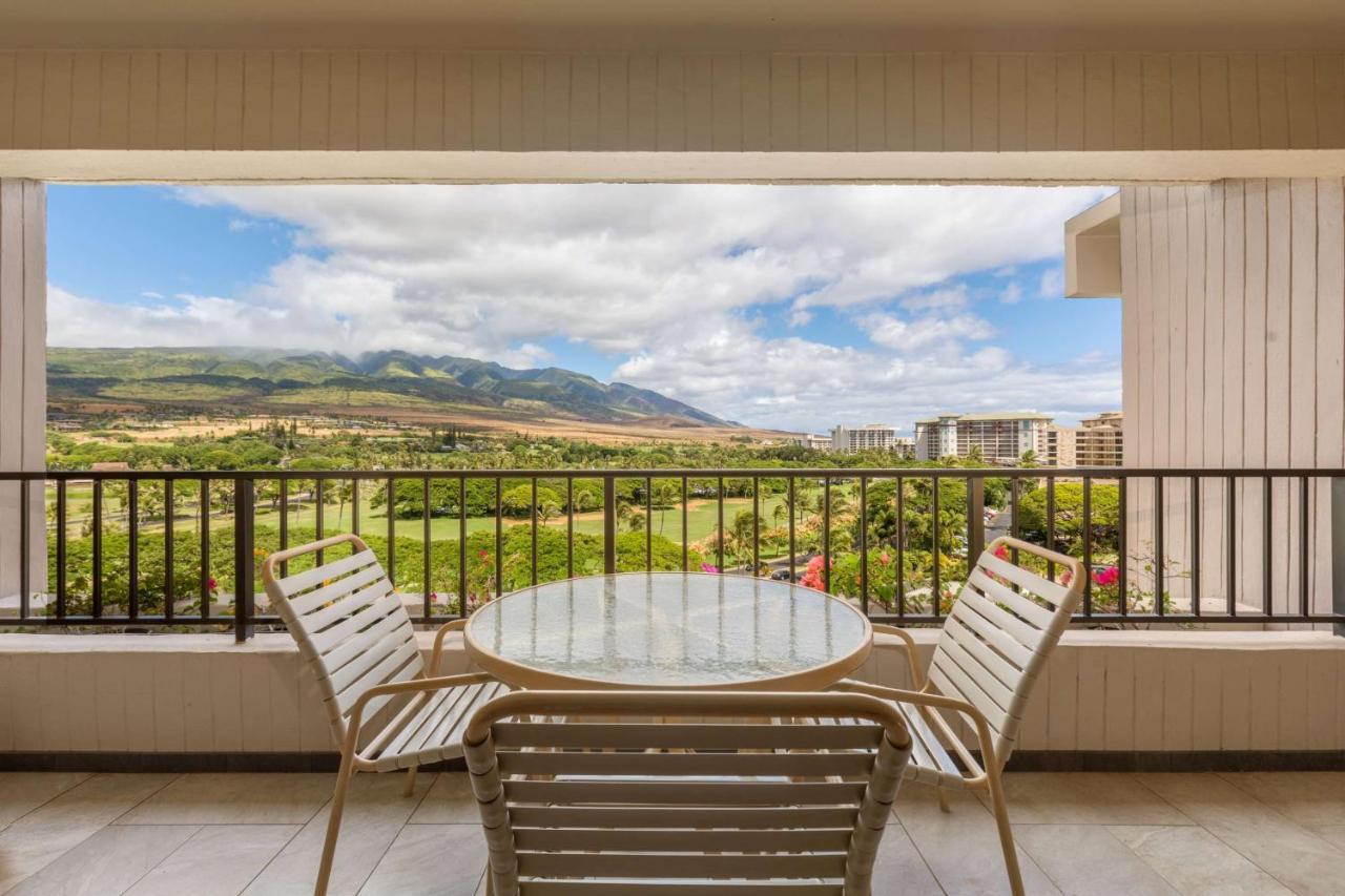 One Bedroom Mountain View