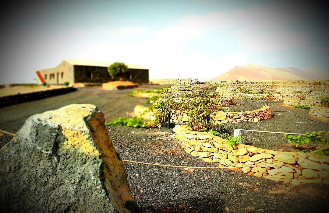 Agriturismo El Bounty-1