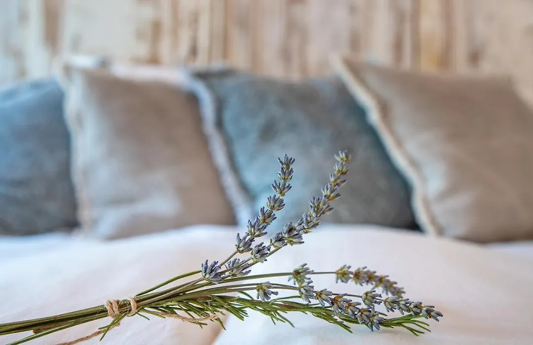 Laareind Bed & Breakfast-1