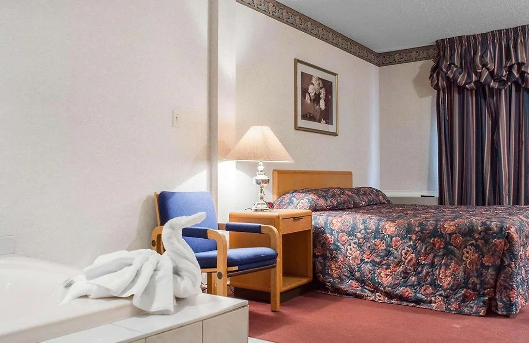 Econo Lodge By The Falls-1