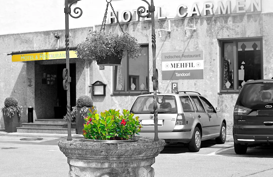 Hotel Carmen-1