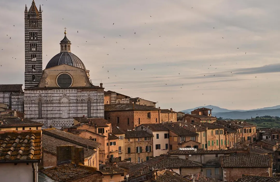 I Terzi Di Siena - Rooms Only-1