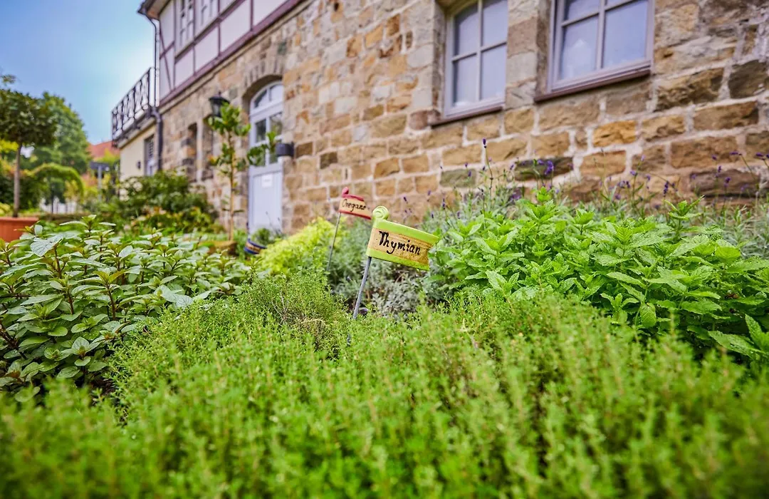 Landhaus Schieder-1