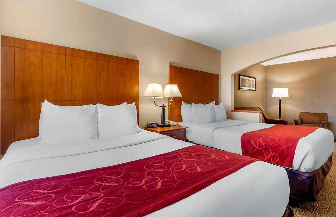 Comfort Suites North Dallas-1