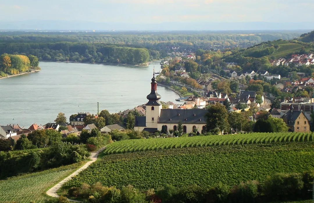 Best Western Wein- und Parkhotel-1