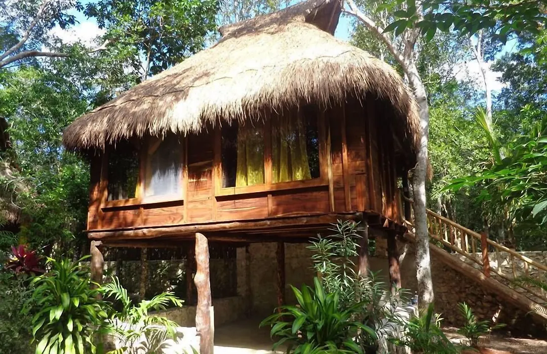 Casa Mango-1