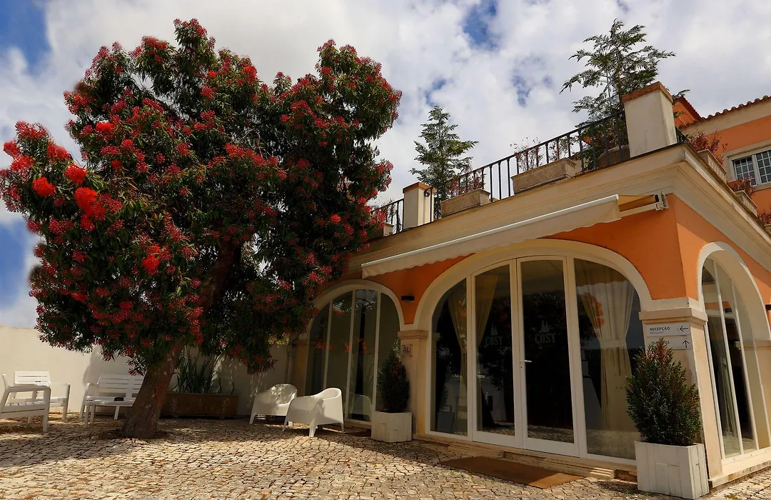 Cosy Sintra-1