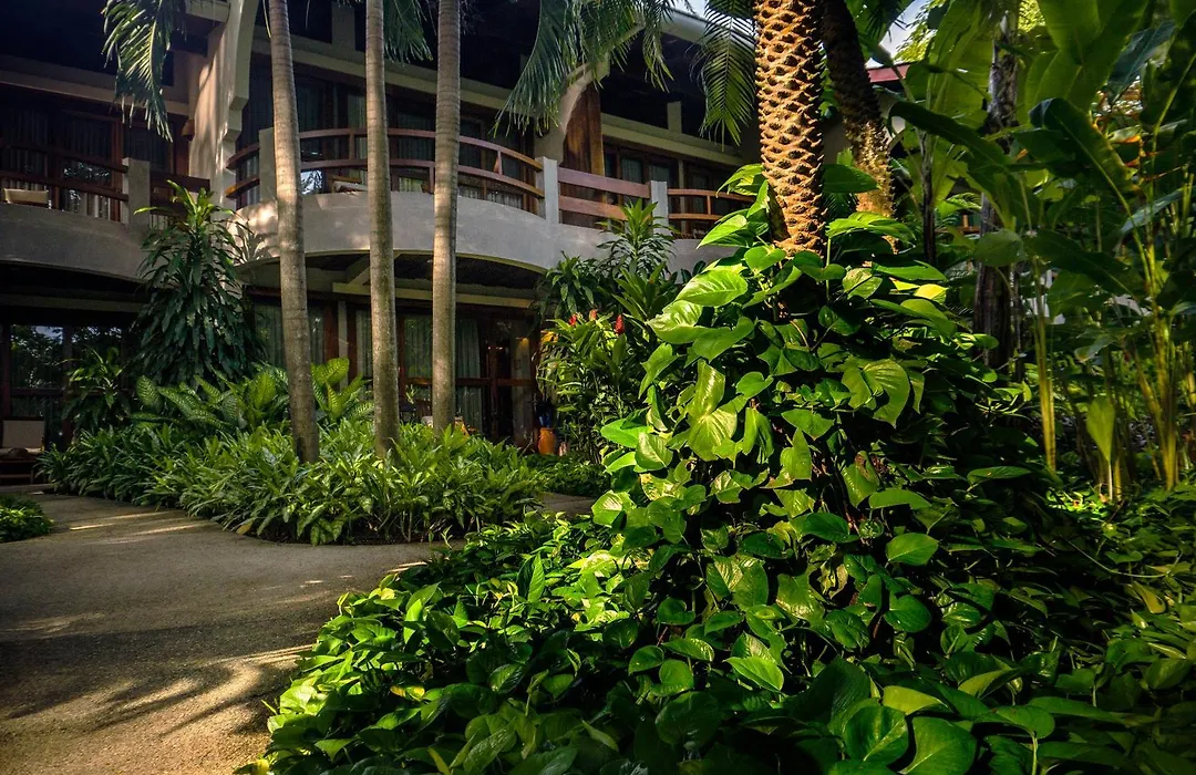 Capitán Suizo Beachfront Boutique Hotel-1