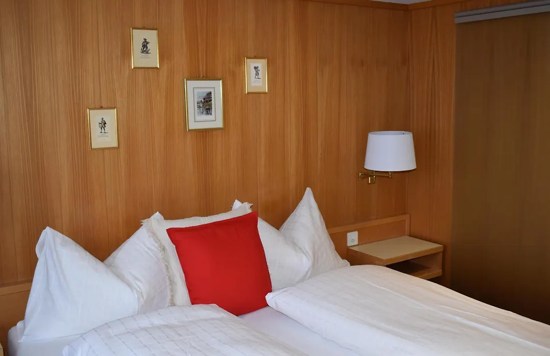 Hotel Friedheim Weggis-1