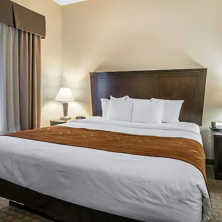 Comfort Suites Vestal Near University-3