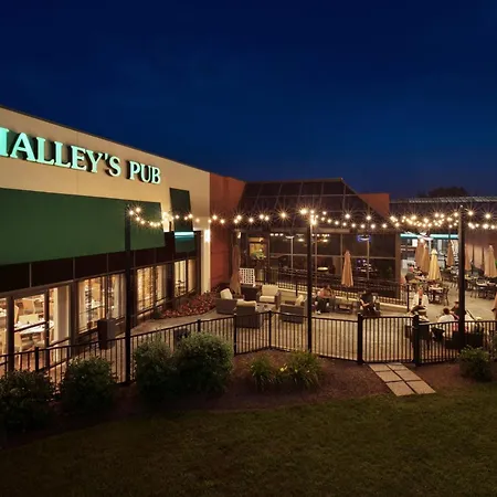 Holiday Inn Washington-Dulles International Airport By Ihg-3