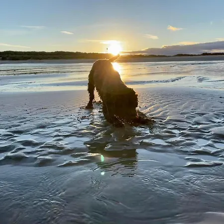Ormesby Beach Haven: Pet-Friendly Family Retreat-3