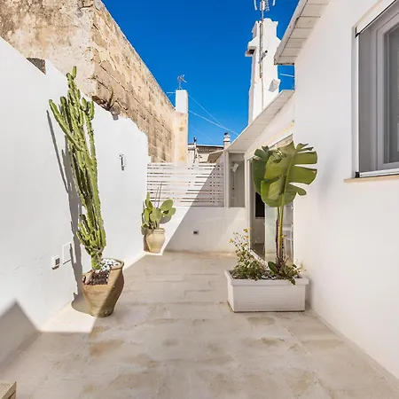 Clara Domus-3