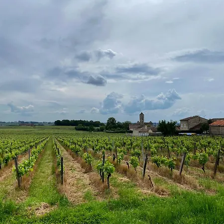 Aux Ducs De Sienne-3
