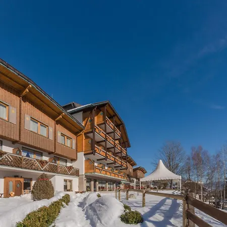 Ferienalm Panorama Apartments-3