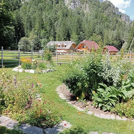 Alpi Giulie Chalets-2
