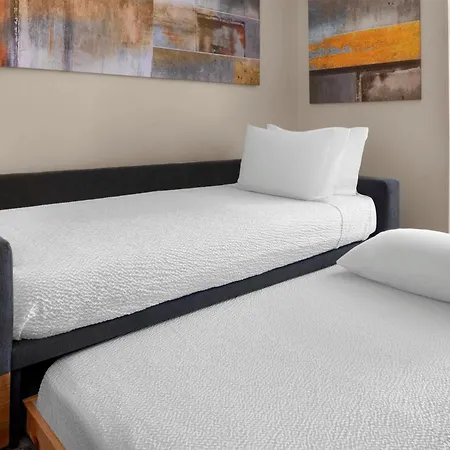 Springhill Suites Austin Round Rock-3
