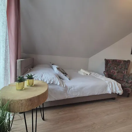 Pino House-2