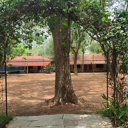 Pinewood Resort-2