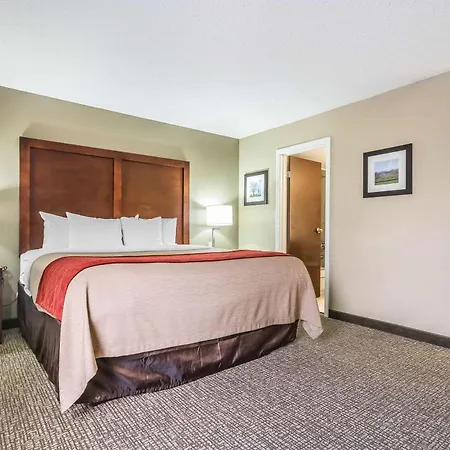 Comfort Inn & Suites Lexington - Hamburg I-75-2