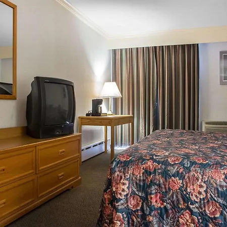 Econo Lodge By The Falls-3