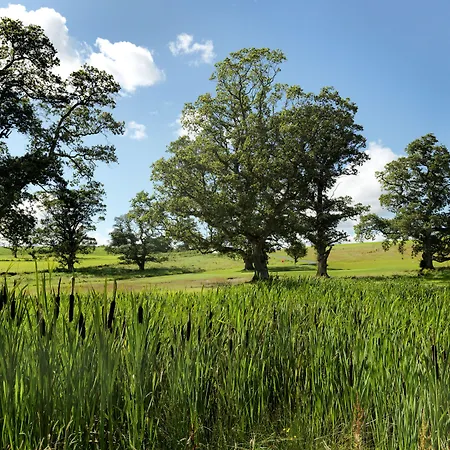 Farnham Estate Spa And Golf Resort-2