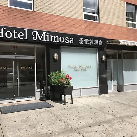 Hotel Mimosa-3
