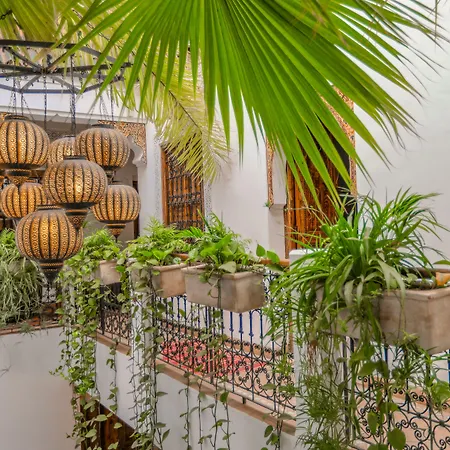 Riad Anya & Spa-3