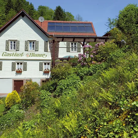 Hotel - Gasthof Blume-3