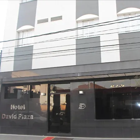 David Plaza Hotel-2