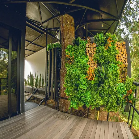 Mumu By Bernalo Hotels-3