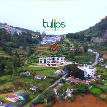 Tulips Valley View Resorts-3