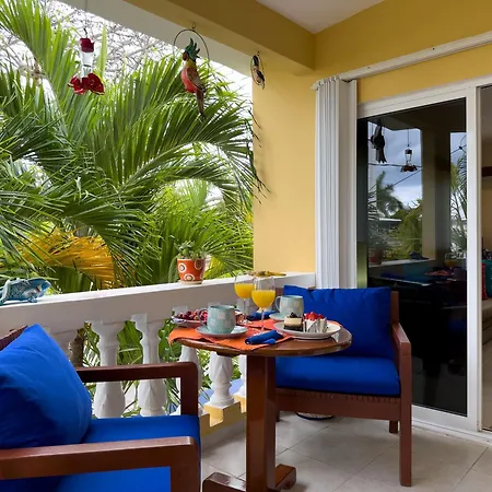 Abbey Del Sol - Tropical Escape Near Beach In Puerto Morelos-3