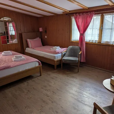 Hotel Schuetzen Lauterbrunnen-2