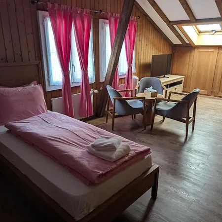 Hotel Schuetzen Lauterbrunnen-3