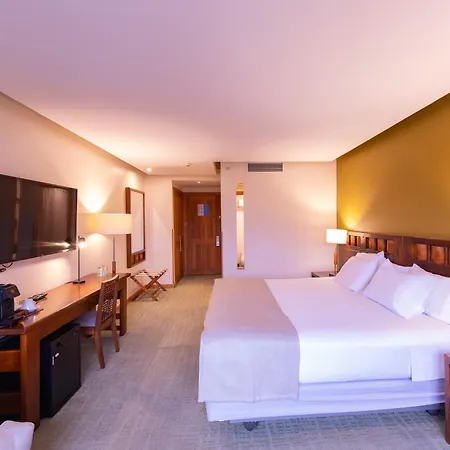 Wyndham Puerto Varas Pettra-3