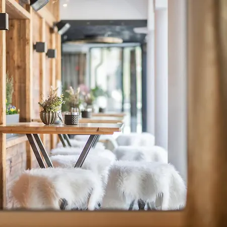 Belavita B&B-2