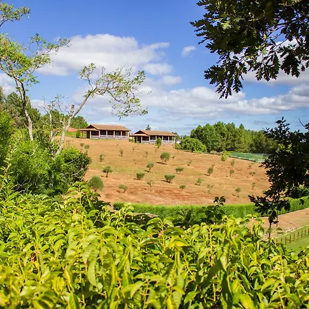 Rural Casa Samaioes-3