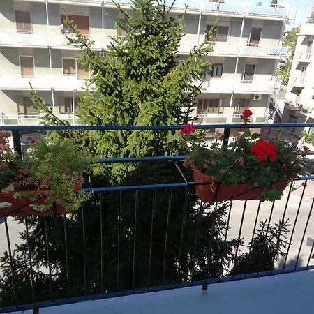 B&B Dante-2